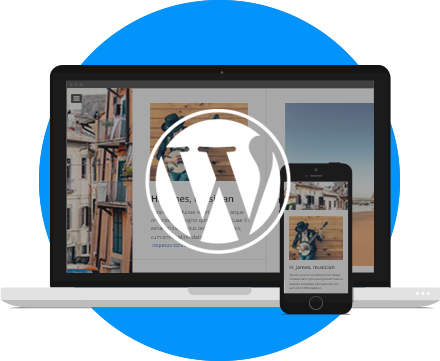Optimised hosting for WordPress
